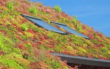 Burgh Castle living roof systems